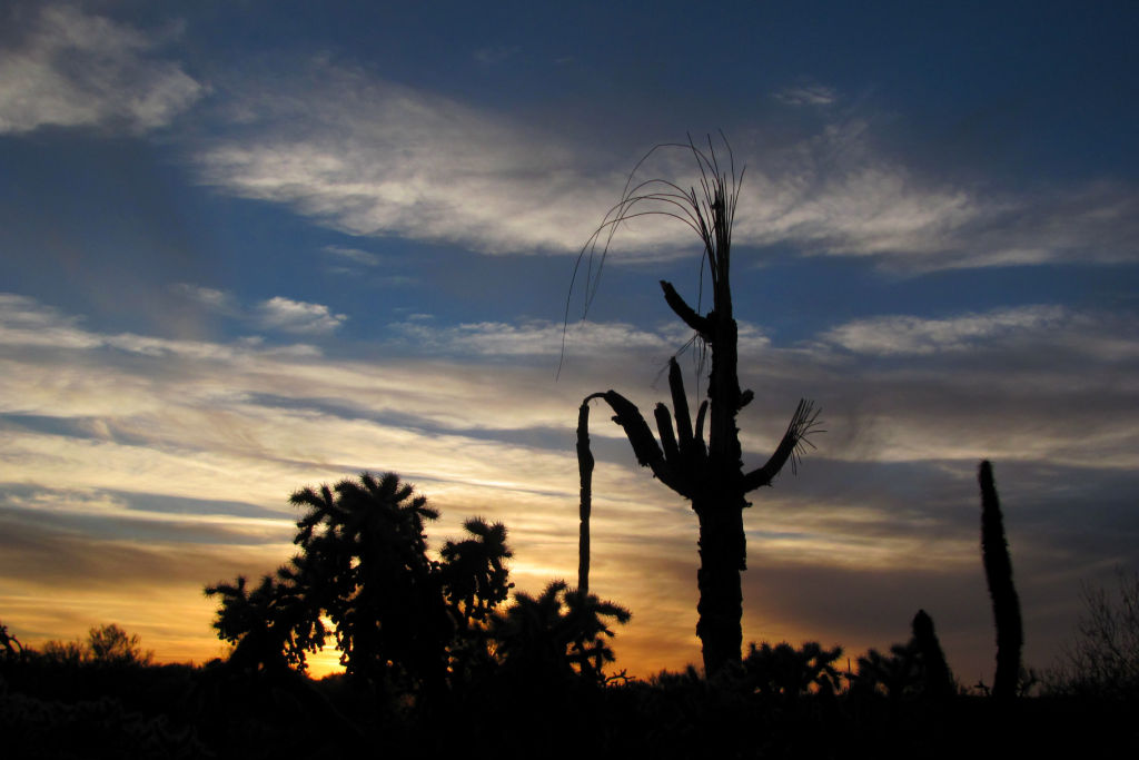 Tucson sunset